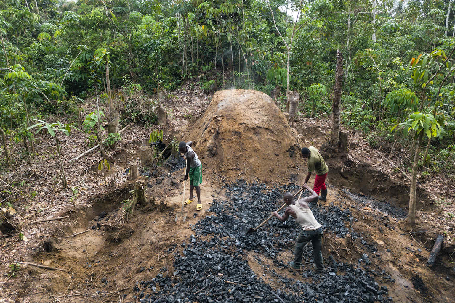 mongabay.com