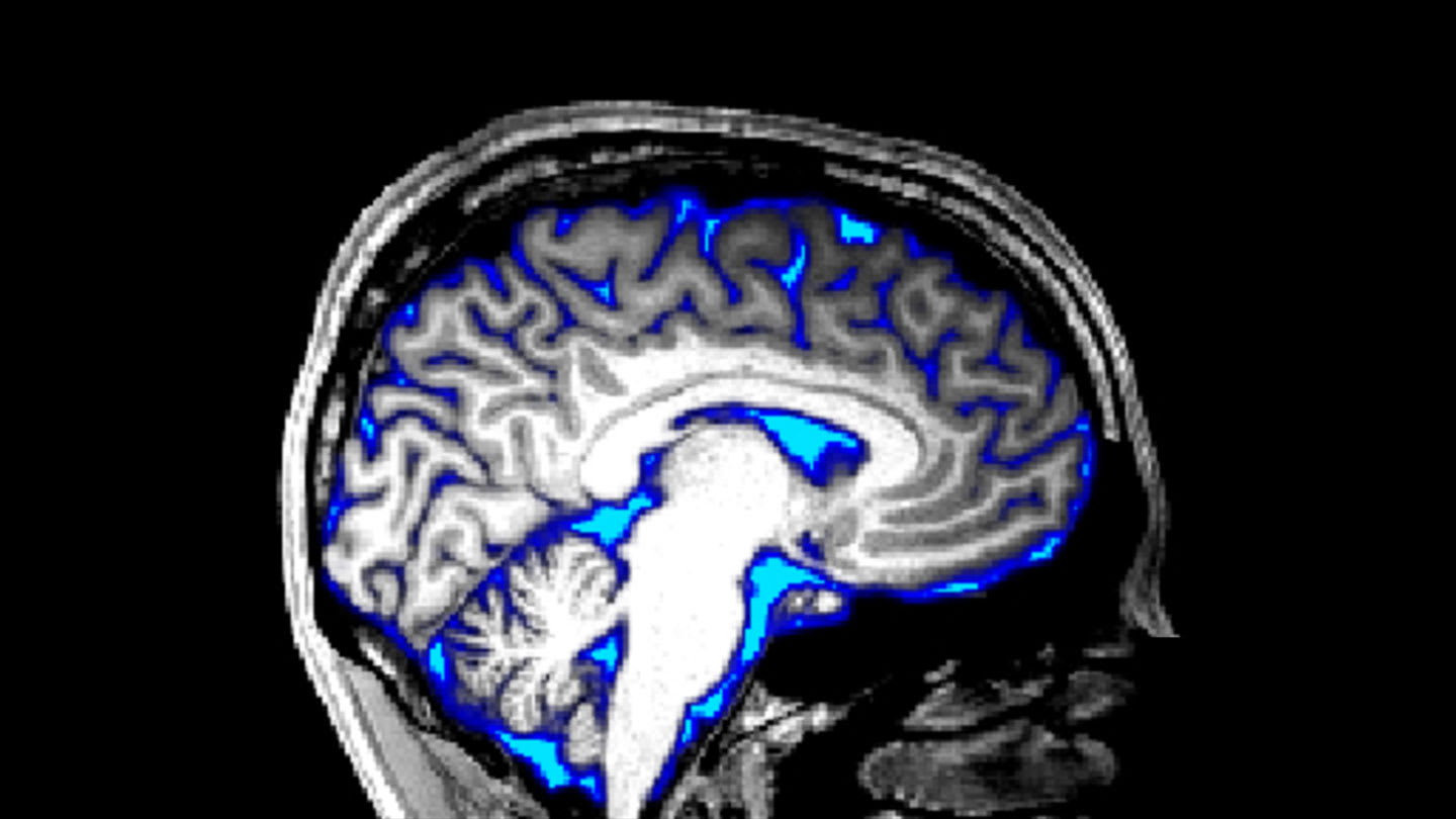 sciencenews.org