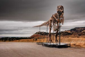 artnet.com