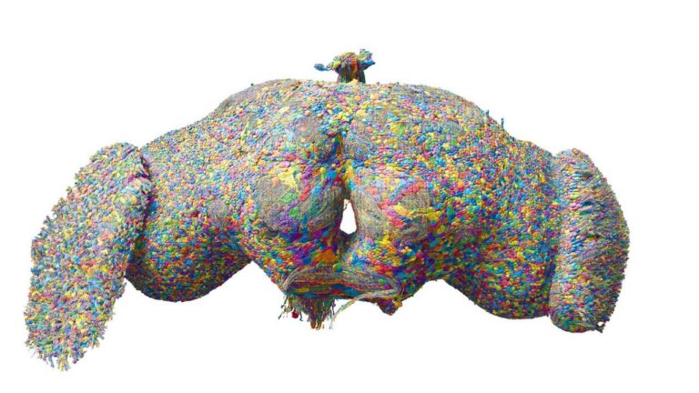 phys.org